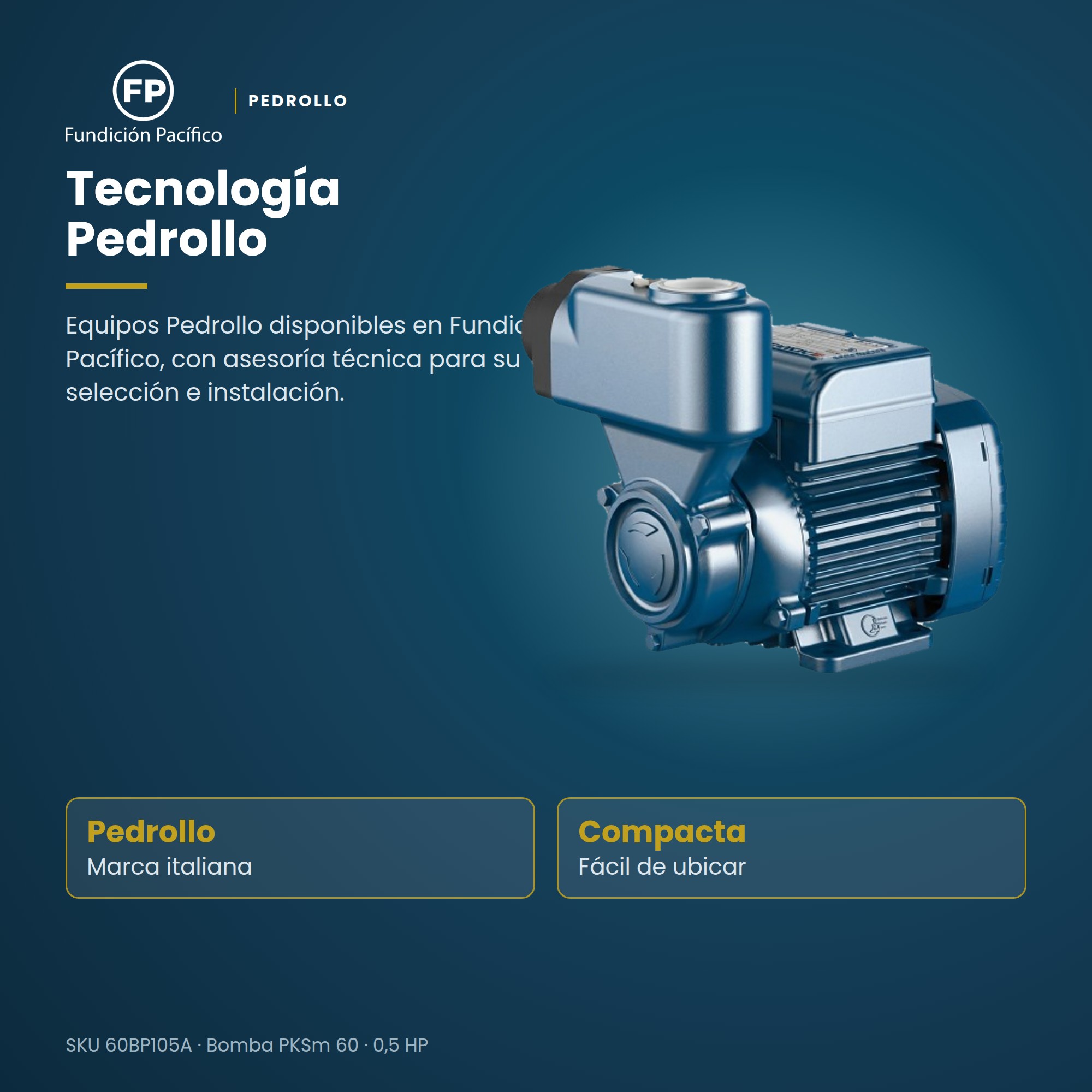 Bomba de Agua Pedrollo PKSm60 0.5 HP Monofásica 110V