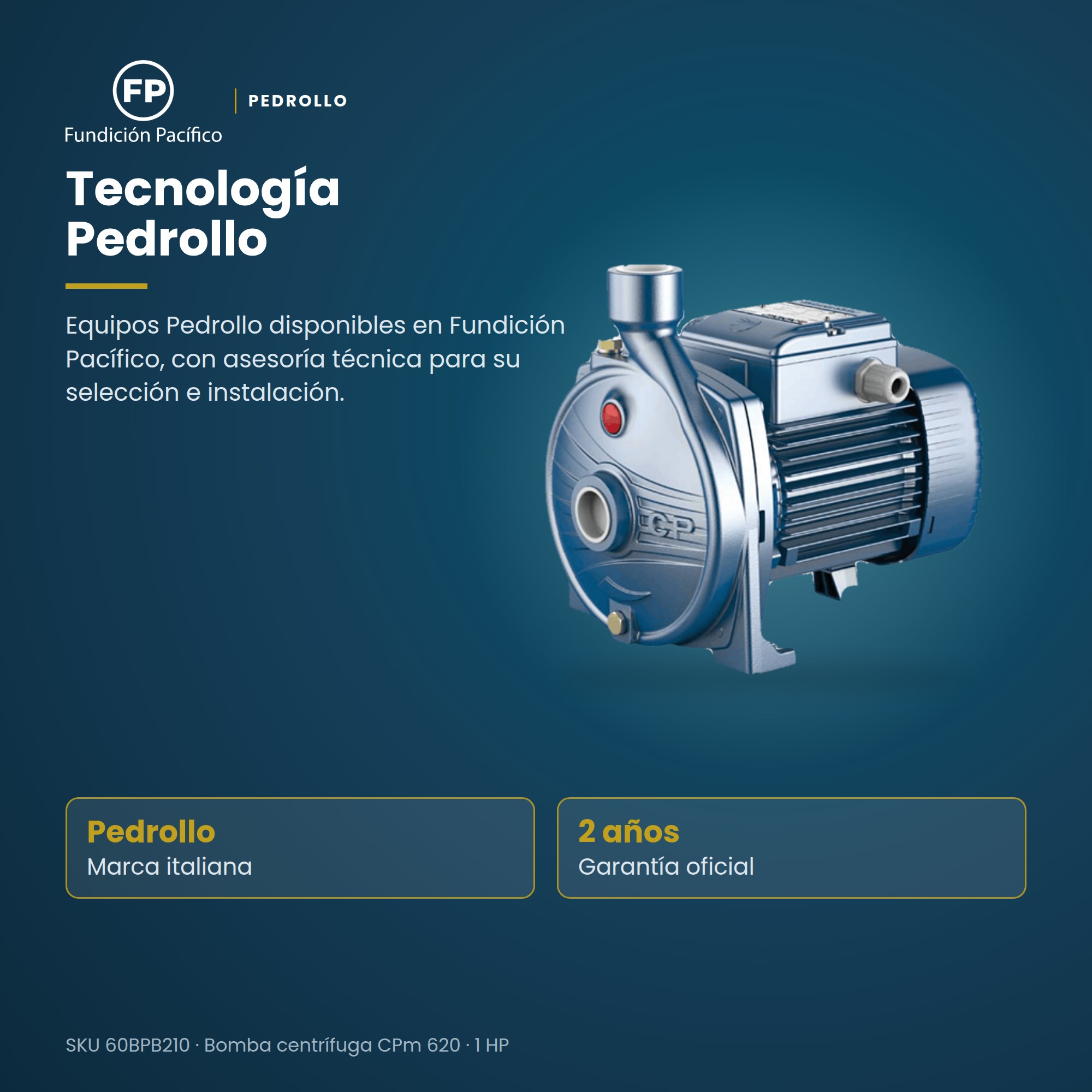 Bomba de Agua Centrífuga Pedrollo 1 HP (CPm 620) para Hogar y Jardín