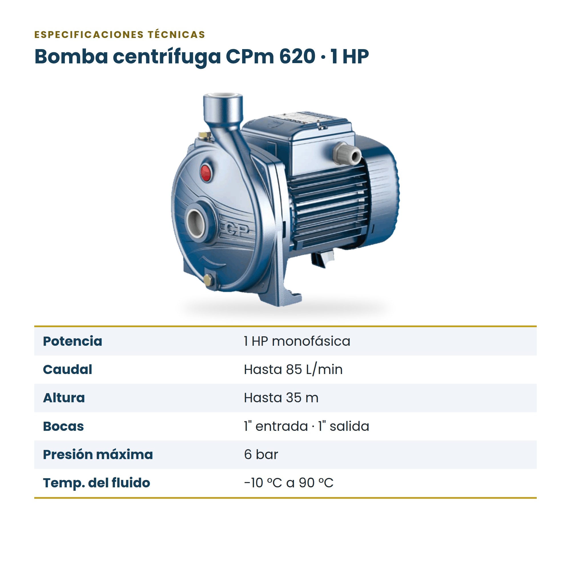 Bomba de Agua Centrífuga Pedrollo 1 HP (CPm 620) para Hogar y Jardín